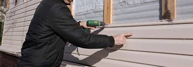 Best Vinyl Siding Installation  in Alva, FL